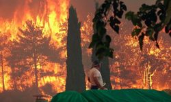 "6 kentte 13 farklı yangın devam ediyor"