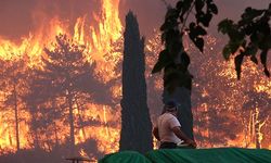 Orman yangınlarında 1 kişi daha yaşamını yitirdi: Can kaybı 9'a yükseldi