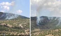 Tunceli ve Diyarbakır'daki orman yangınları söndürüldü