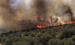 İzmir Urla'da orman yangını: Havadan ve karadan müdahale ediliyor