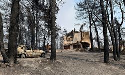 Yunanistan'da Eğriboz Adası yangın nedeniyle boşaltıldı