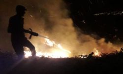 Erzin'de çıkan orman yangını kontrol altına alındı