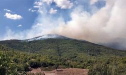Tunceli'de orman yangını: 2 helikopter müdahale ediyor