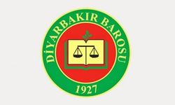 Diyarbakır Barosu: "Polis, Baro üyesi avukatın kolunu kırdı"