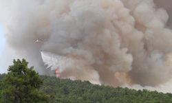 Antalya'da ormanlara giriş yasağının süresi 30 Eylül'e kadar uzatıldı