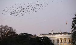 Beyaz Saray: Taliban'a yönelik yaptırımların gevşemesi gündeme gelmedi