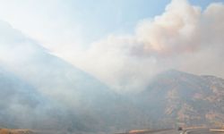 Bitlis’te orman yangını devam ediyor