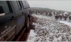 Allahuekber Dağları'nda mahsur kalan iki çoban kurtarıldı