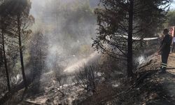 Amanos Dağları'nda orman yangını çıktı