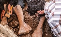Kahramanmaraş'ta bulunan 3000-3500 yıllık fil fosilleri incelemeye alındı