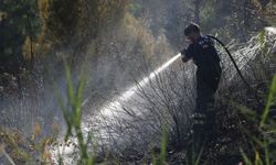Konya'da ormanlık alanda çıkan yangın kontrol altına alındı