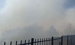 İzmir'in Karşıyaka ilçesinde orman yangını