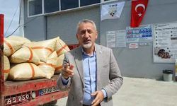 CHP'li Adıgüzel: Fındık fiyatı ileri gideceğine geri gelmiş