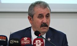 Destici: Türkiye'de 'Kürt sorunu' diye bir sorun yok ki