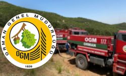 Orman Genel Müdürlüğü, sessiz sedasız 155 aracı AKP ve MHP'li belediyelere hibe etmiş