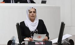 Mahkemeden HDP'li Tosun'a suç duyurusu