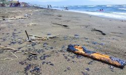 Samandağ'da sahile petrol atığı vurdu: Denize girmeyin