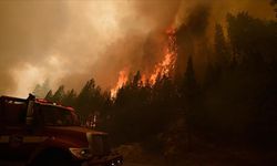 ABD'de 'Caldor' yangını nedeniyle California ve Nevada'da acil durum ilan edildi