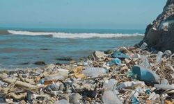 Kirlilik baskısıyla oksijeni azalan Marmara Denizi alarm veriyor