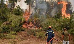 "9 ilde çıkan 14 orman ve 11 kırsal alan yangınlarının tamamı kontrol altına alındı"