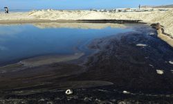 ABD'de petrol sızıntısı nedeniyle güney California sahilleri kapatıldı