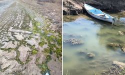 Türkiye’deki 8 gölde siyonobakteri tehlikesi: Gölleri çürütüyor
