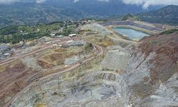 Karadeniz'deki 36 STK'dan zeytinliklerin madenciliğe açılmasına ilişkin kanun teklifine tepki