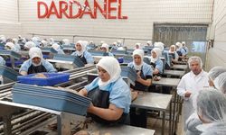 Dardanel’de işçilerin sesi duyulmuyor: “AKP arkasında olduğu için…”