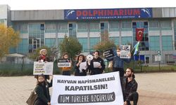 İstanbul Dolphinarium önünde eylem