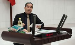 Genel Kurul’da konuşan HDP'li vekile ‘Kürdistan’ cezası