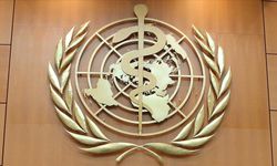 Dünya Sağlık Örgütü: Bulaşıcı olmayan hastalıklar, bulaşıcı olanlardan daha ölümcül