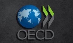 OECD'nin Türkiye raporu: Enflasyon çok yüksek ve kalıcı