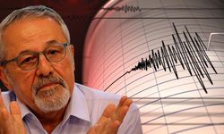 Prof. Dr. Naci Görür, deprem beklediği yerleri açıkladı