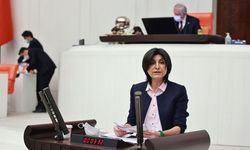 CHP’li Özdemir’den kanun teklifi: Kalıcı yaz saatine son verilmeli