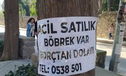 Türkiye'de yoksulluğun geldiği nokta: 'Sahibinden satılık böbrek' ilanları