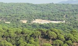 DSİ'nin ormanlık alanın ortasına yapacağı kum ocağı projesine Bakanlık onayı