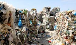 Greenpeace raporu ortaya koydu: Türkiye 3 yıldır Avrupa'nın çöplüğü