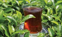 Erdoğan Çay taban fiyatını açıkladı, Üretici "hayal kırıklığı yaşıyoruz bu zam değil sadakadır"