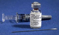 Avustralya, maymun çiçeği vakalarının artmasının ardından 450 bin doz aşı satın aldı