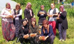 Ereğli'de çiftçiye uzman destekli tarım reçetesi: "Ürün kaybı önlendi, verim arttı"