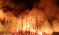 Marmaris'te orman yangını çıktı: Rüzgar alevleri büyütüyor