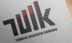 CHP'den ölüm istatistiklerini açıklamayan TÜİK hakkında önerge