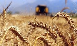 Cumhurbaşkanı Erdoğan buğday ve arpa alım fiyatlarını açıkladı