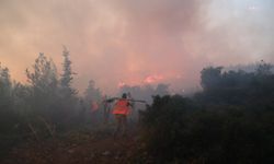 Bodrum Belediyesi halkı orman yangınlarına karşı duyarlı olmaya çağırdı