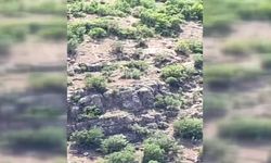 Erzincan'da altın madeninin siyanür borusu mu patladı?
