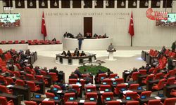 Orman Yangınları Önergesi, AKP ve MHP'nin oylarıyla reddedildi