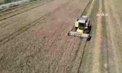 TMO, buğday ve arpa alım fiyatlarını arttırdı