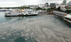 Müsilaj ve fabrika atıklarıyla uğraşan Marmara Denizi, Mavi Bayrak alamadı