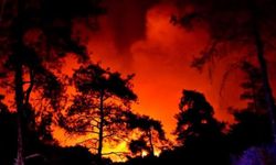 Marmaris'teki orman yangınıyla ilgili soruşturma başlatıldı