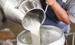 Kötü haber: Süt sektörü çiğ süt fiyatlarının aylık belirlenmesini istiyor